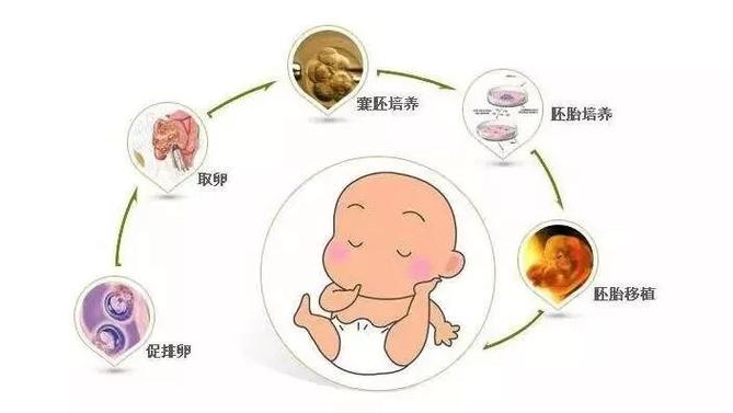 供卵代生的宝宝为什么不长体重